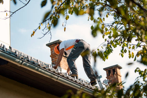 Best Chimney Flashing Repair  in Patrick Springs, VA
