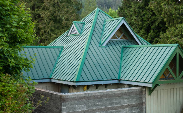 Best Roof Maintenance and Cleaning  in Patrick Springs, VA
