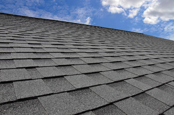 Best Rubber Roofing (EPDM, TPO)  in Patrick Springs, VA